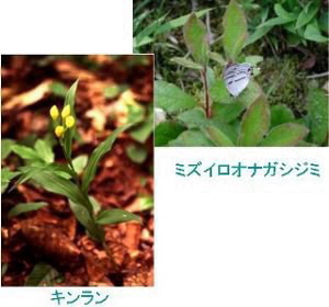 photo photo