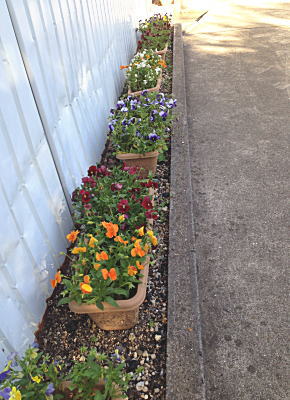 �v�����^�[�p���W�[