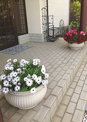 �I�X�e�I�X�y���}���@������