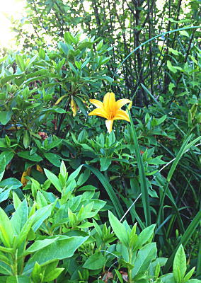 �m�J���]�E