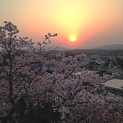 ������ƍ�