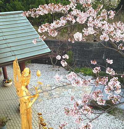 �ω��l�ƍ�