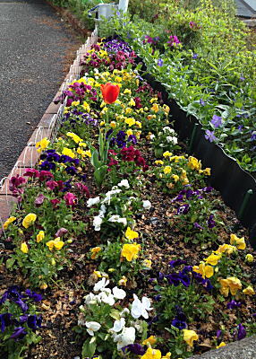 �p���W�[�ƃ`���[���b�v