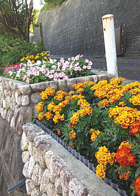 �}���[�S�[���h�Ɠ��X��