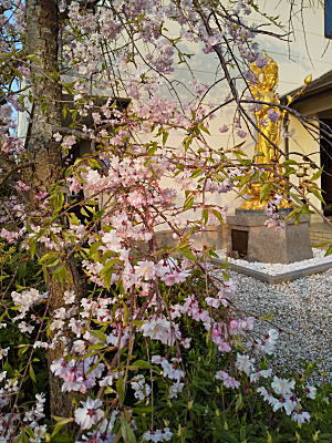 �}������Ɗω��l