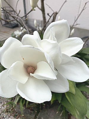 �n�N���N����