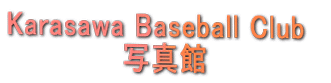 ʐ^فikarasawa baseball clubj
