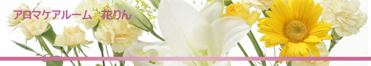 �A���}�P�A���[���@�Ԃ��