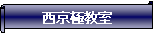 : ɋ