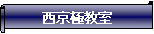 : ɋ