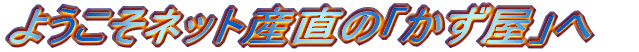 �悤�����������ց@ 