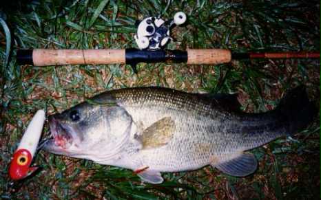 Huge Bass