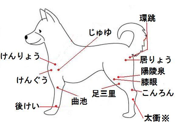 フントのくるまいすやさん本舗 本舗通信 お灸のやりかた