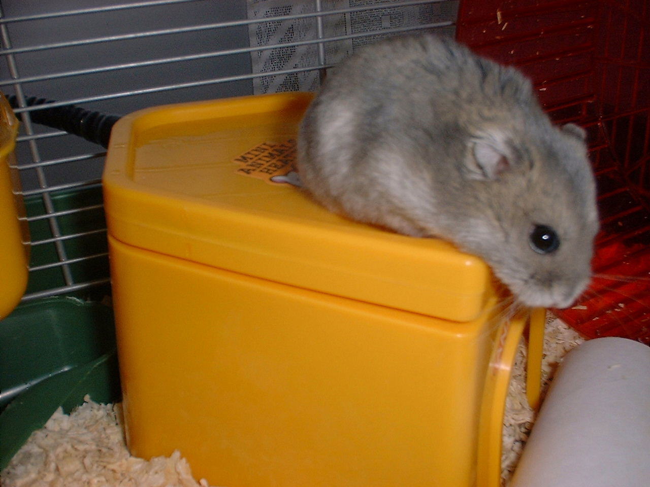 �q�[�^�[�ɏ��