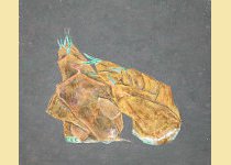 ̂P