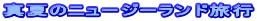 ^Ẵj[W[hs