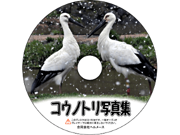 コウノトリ写真集CD