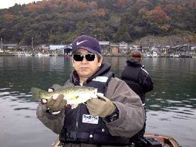 バス君カメラ目線 バス君カメラ目線