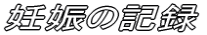 DP̋L^