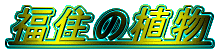 Z̐A