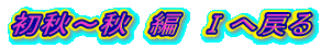 H`H@ҁ@T֖߂