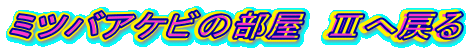 ~coAPr̕@V֖߂