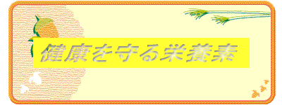 ���N�����h�{�f