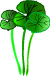 ӂ