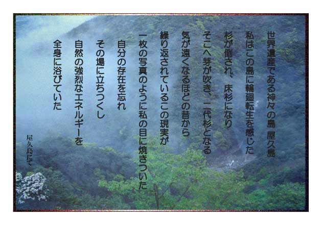屋久島の詩