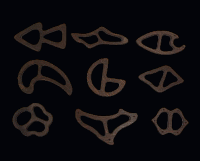 ÂH[ʂ̖؂̃XJ[tǂ