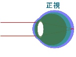 成人（ようやく正視）