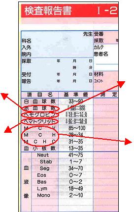 Mchc 血液 低い 検査