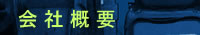 ЊTv