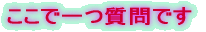 �����Ŏ���ł� 