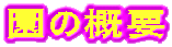 ���̊T�v 