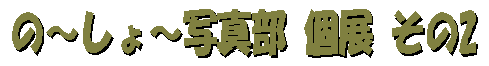kusanone56p_16