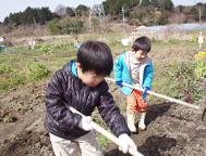 kusanone60p_20