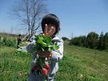 kusanone61p_15