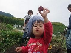 kusanone65p_30