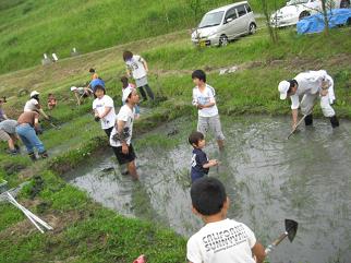 kusanone72p_23