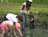 kusanone72p_26