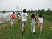 kusanone72p_32