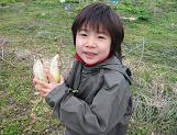 kusanone81p_13