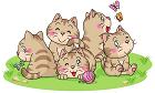 kusanone81p_5