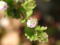 �C�k�m�t�O��