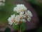 �c���\�o