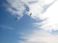 青い空。