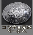 iconconcho.jpg