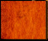 irodori003008.jpg