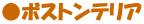 ���{�X�g���e���A